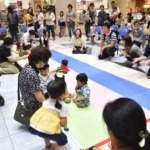 ハイハイレース