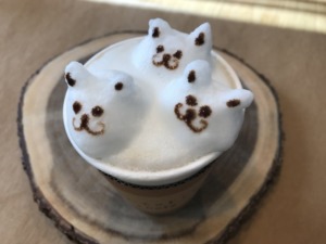 ☆ネッツトヨタノヴェルとやま☆